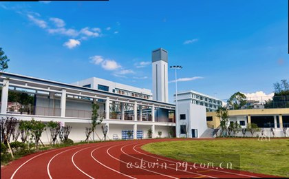 三维数据图表展示复杂信息